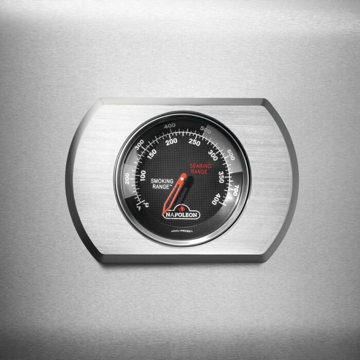 R425PSS-2-Web-Gallery-08-Original_JPG-Rogue-2-Stainless-Steel-Detail-TempGauge