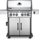 Rogue-RSE525RSIB-1-Prod-Str-SS-KnobsOn-800px